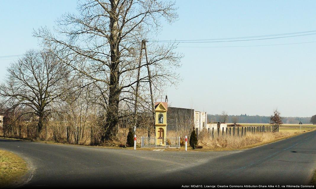 Jak sprawnie poruszać się po Dębicy i unikać korków?